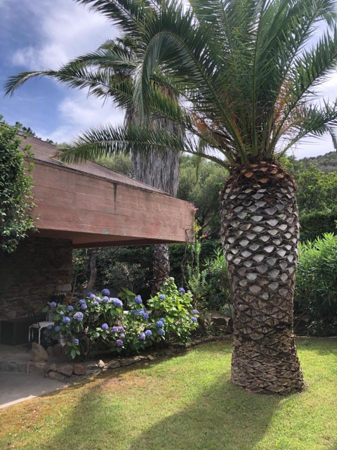 Villa 4 Porto Rotondo Exterior foto